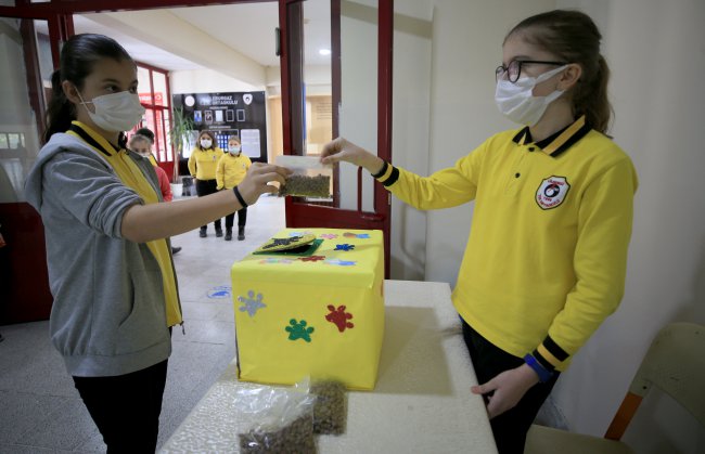 Öğrenciler Harçlıklarıyla Aldıkları Mamalarla Sokak Hayvanlarını Besliyor