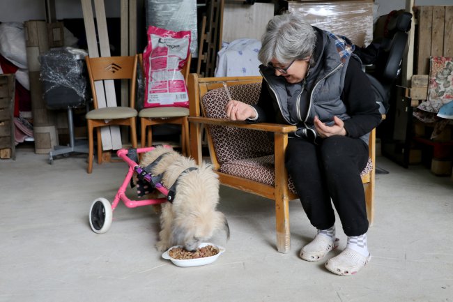 "Şans" Adını Verdikleri Engelli Köpeğe Çocukları Gibi Bakıyorlar