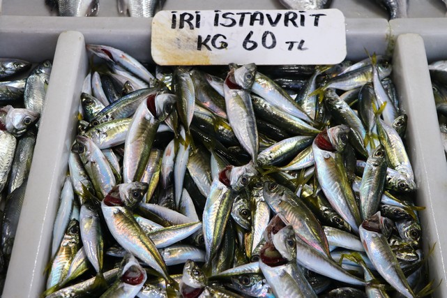 Tekirdağ'da Balık Fiyatları Daha Da Arttı