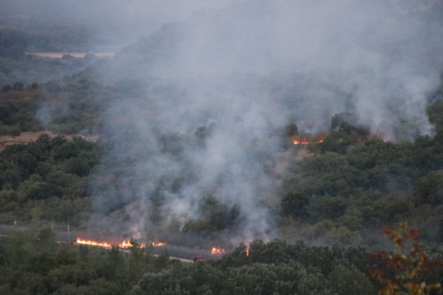 Bulgaristan'da Çıkan Orman Yangını Edirne'den Görüldü