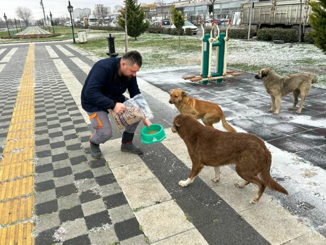 Çorlu Belediyesi Sokak Hayvanları İçin Mama Üretimine Başladı