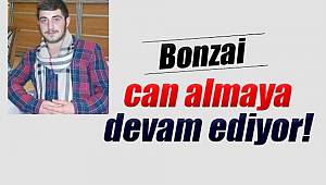 Yine Bonzai Yine Ölüm