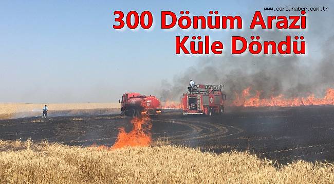 300 Dönüm Ekili Alan Küle Döndü