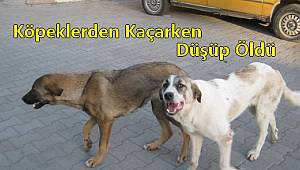 Köpeklerden Kaçarken Düşüp Öldü