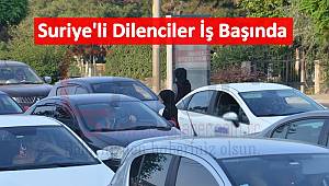 Suriyeli Dilenciler İş Başında