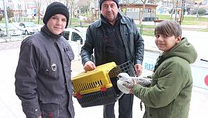 Çocukların Sahip Çıktığı Yaralı Martı Tedaviye Alındı