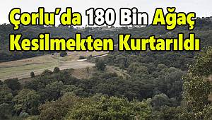 Çorlu'da 180 Bin Ağaç Kesilmekten Kurtarıldı