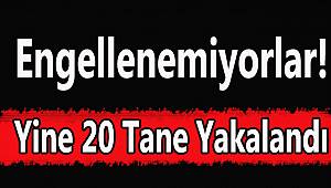 Engellenemiyorlar! Yine 20 Tane Yakalandı