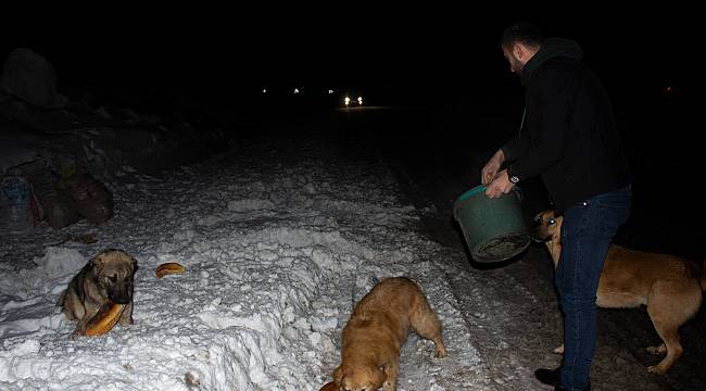 Gündüz Pilav Satıp Gece Sokak Hayvanlarını Besliyor