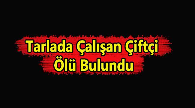 Tarlada Çalışan Çiftçi Ölü Bulundu