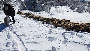 Tekirdağ'da Yaban Hayvanları İçin Doğaya Yem Bırakıldı