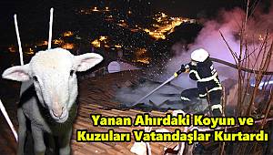 Yanan Ahırdaki Koyun ve Kuzuları Vatandaşlar Kurtardı