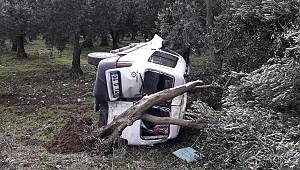 İznik'te Kontrolden Çıkan Hafif Ticari Araç, Ağaca Çarptı: 1 Yaralı