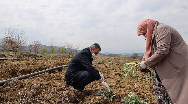 İl Tarım ve Orman Müdürü Yoldaş'tan Çiftçilere Ziyaret