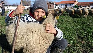 Balıkesirli Küçük Çoban Şevki, Hayatın Sırrını Çözmüş!