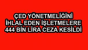 ÇED Yönetmeliğini İhlal Eden İşletmelere Ceza Yağdı