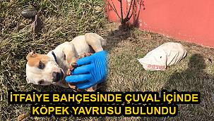 İtfaiye Bahçesinde Çuval İçinde Köpek Yavrusu Bulundu