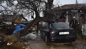 Şiddetli Rüzgar Nedeniyle Elektrik Direği ve Ağaçlar Devrildi