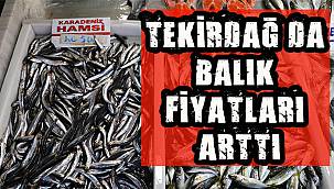 Tekirdağ'da Balık Fiyatları Arttı