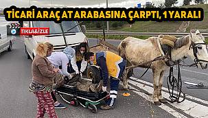 Ticari Araç At Arabasına Çarptı, 1 Yaralı