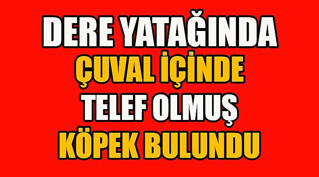 Dere Yatağında Çuvalın İçinde Telef Olmuş Köpek Bulundu