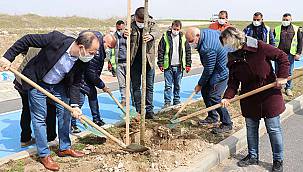 Kovid-19 Salgınında Yaşamını Yitiren Sağlık Çalışanları Anısına Fidan Dikildi