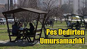 Pes Dedirten Umursamazlık!