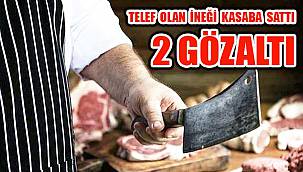 Telef Olan İneği Kasaba Sattı, 2 Gözaltı