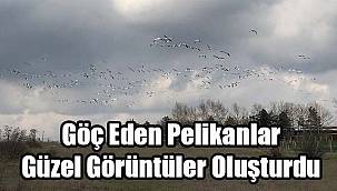 Göç Eden Pelikanlar Güzel Görüntüler Oluşturdu