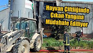 Hayvan Çiftliğinde Çıkan Yangına Müdahale Ediliyor