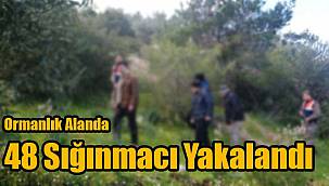 Ormanlık Alanda 48 Sığınmacı Yakalandı