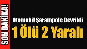 Otomobil Şarampole Devrildi, 1 Ölü 2 Yaralı