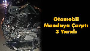 Otomobil Mandaya Çarptı, 3 Yaralı