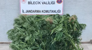 Bozüyük'te Uyuşturucu Operasyonunda Yakalanan Şüpheli Tutuklandı