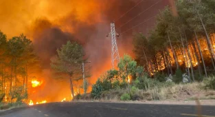 Ergene Belediyesi'nden Marmaris'e Yardım Eli