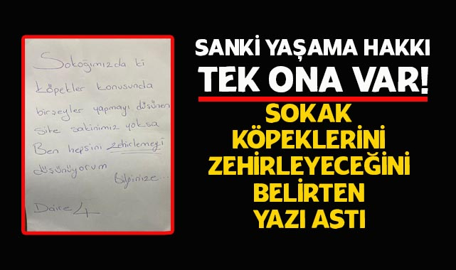 Sokak Köpeklerini Zehirleyeceğini Belirten Yazı Astı