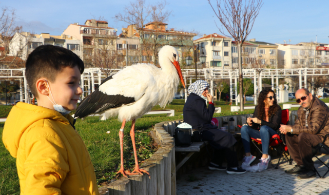 Göç Etmeyen Leylek Tekirdağ'ın Maskotu Oldu