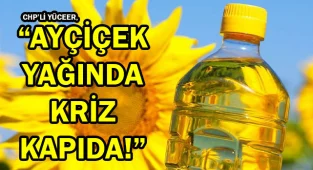 CHP'li Yüceer, "Ayçiçek Yağında Kriz Kapıda"