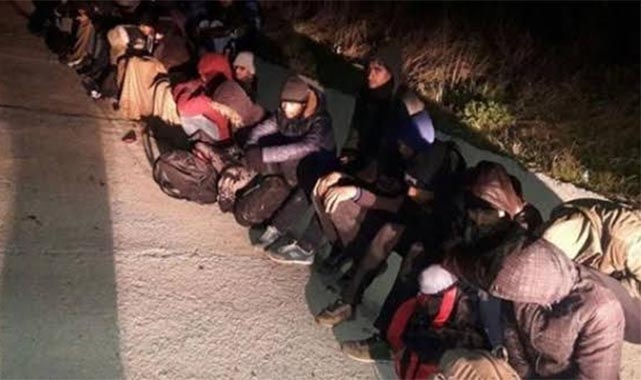 195 Kaçak Göçmen Yakalandı