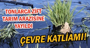 Çevre Katliamı! Tonlarca Zift Tarım Arazisine Yayıldı