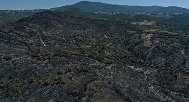 Balıkesir'in Kepsut İlçesindeki Orman Yangınında Soğutma Çalışmaları Sürüyor