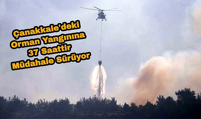 Çanakkale'deki Orman Yangınına 37 Saattir Müdahale Sürüyor