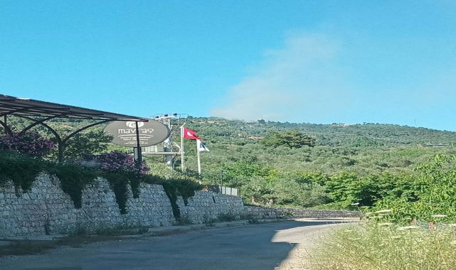 Çanakkale’de tarım arazisinde çıkan yangın ormana sıçradı