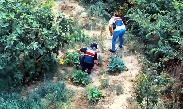 Hazine Arazisine Hint Keneviri Eken Şüpheli Yakalandı