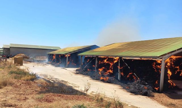 Anız yangını çiftliğe sıçradı; 1000 balya yandı