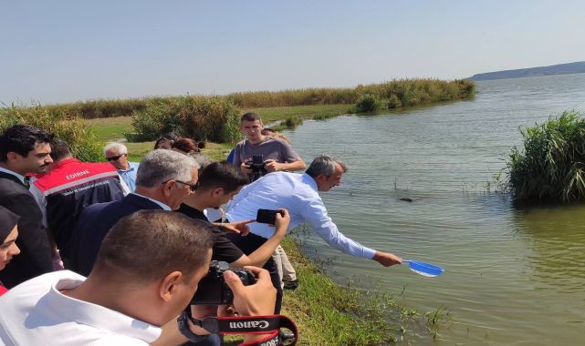 Edirne'de 2024 yılında 10 milyon sazan balığı yavrusu üretildi