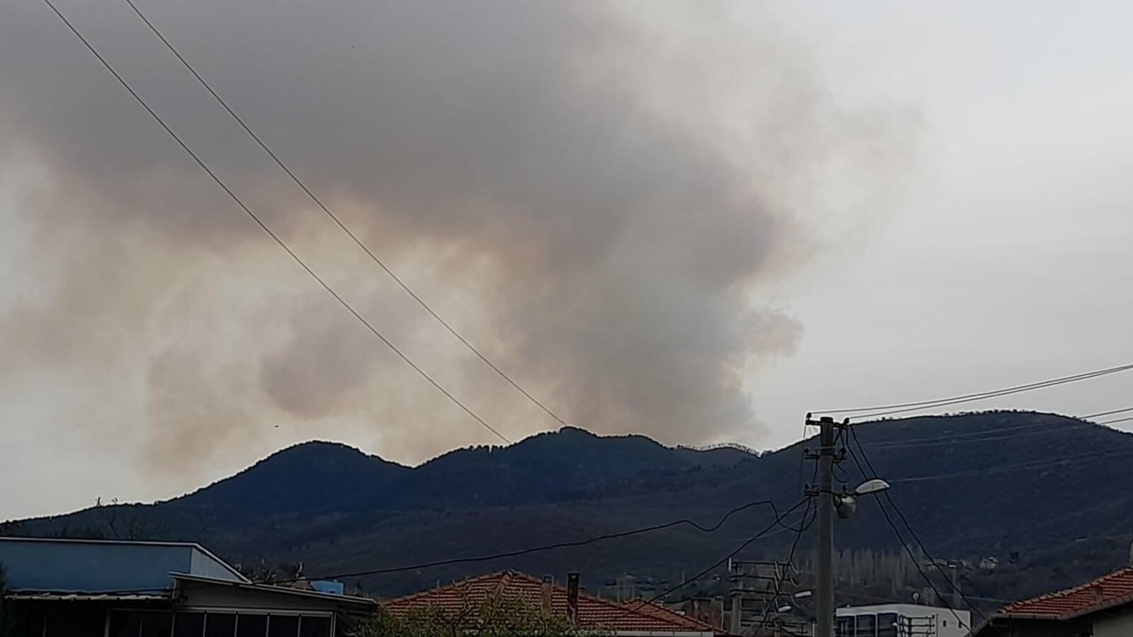 Balıkesir'de orman yangını
