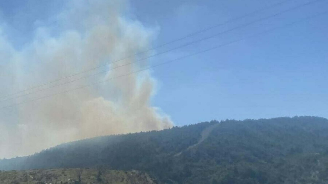 Çanakkale'de orman yangını