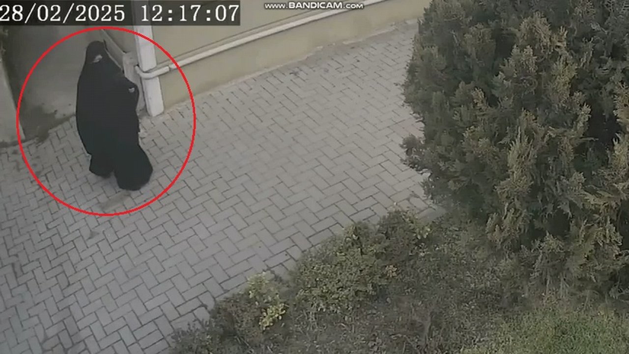 Ablasının evinden 1 milyon TL'lik ziynet çaldı