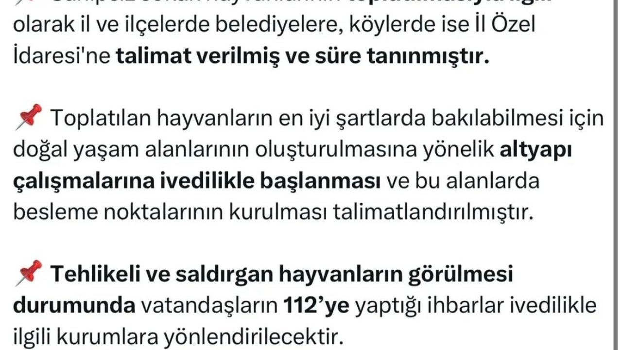 Yalova Valiliği'nden sahipsiz sokak hayvanlarının toplatılmasına ilişkin açıklama